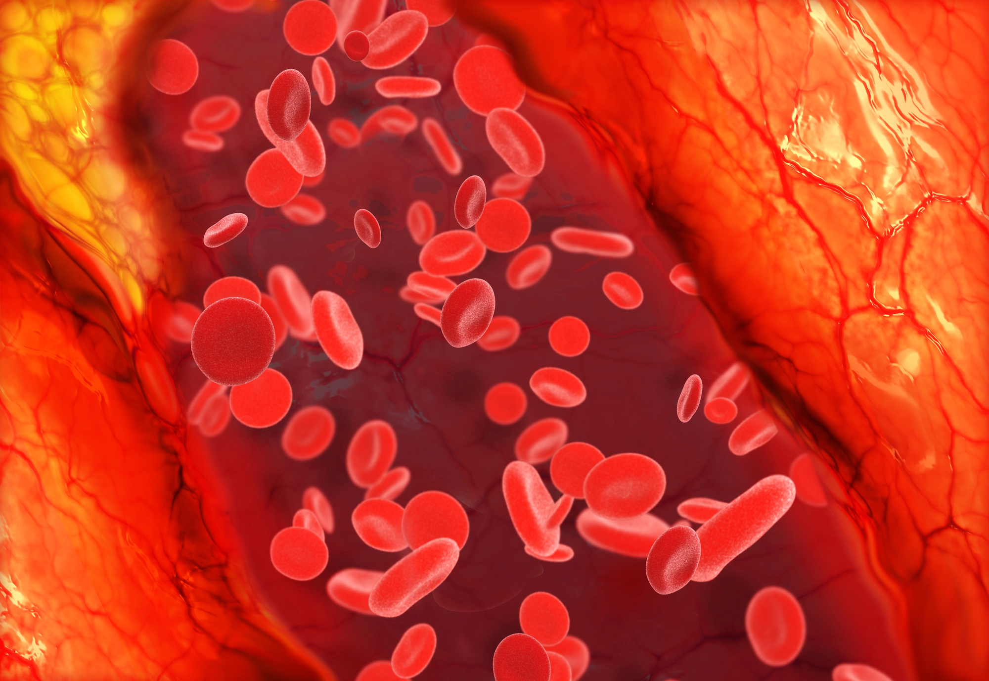 bloodinvein