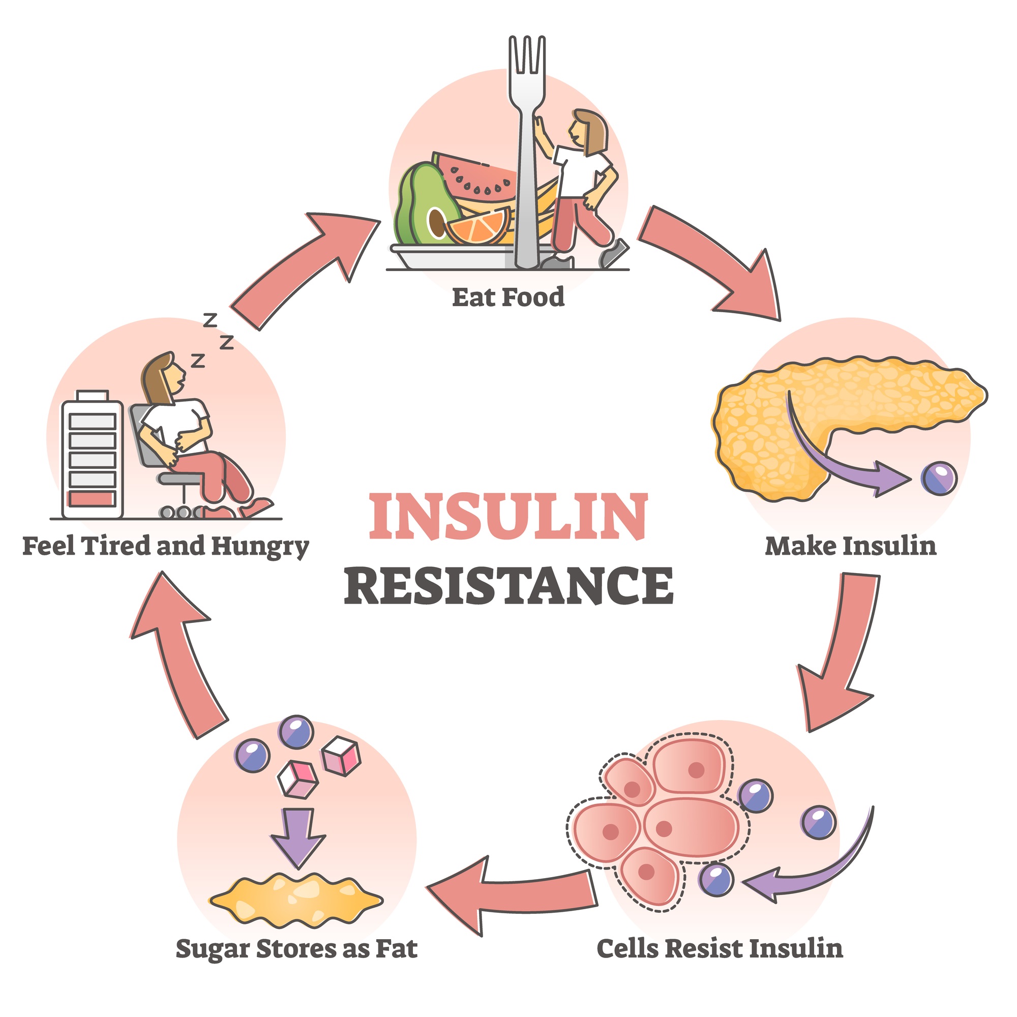 insulin resistance insulin resistance